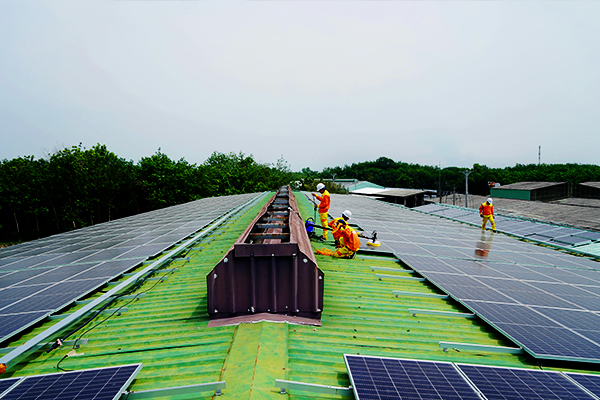 Sustainability